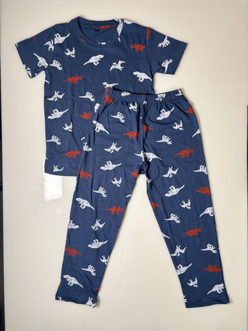 Dino World - Printed T-Shirt and Pant Co-ords